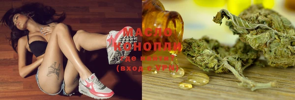 дмт Богданович