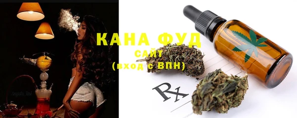 дмт Богданович