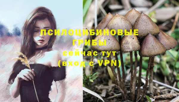 гашиш Бородино
