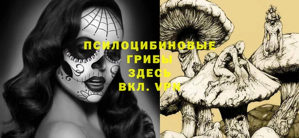 гашиш Бородино