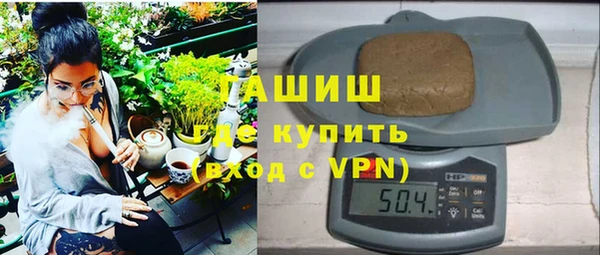 дмт Богданович
